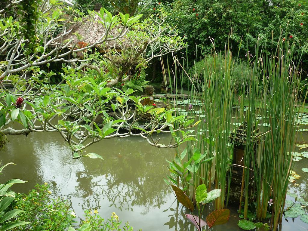Ananda Ubud Resort Bagian luar foto