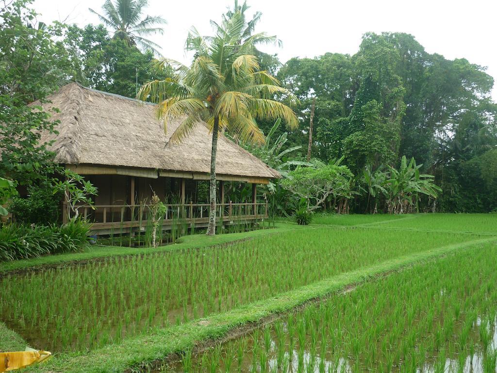 Ananda Ubud Resort Bagian luar foto