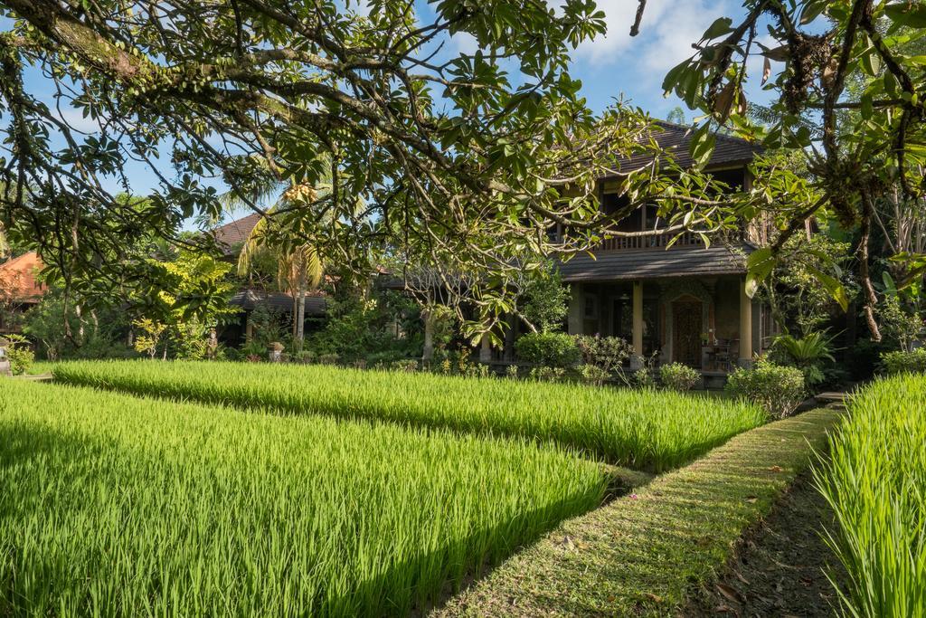 Ananda Ubud Resort Bagian luar foto